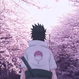 Meet your Posher, Braden